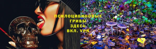 ALPHA PVP Аркадак